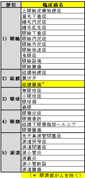 眼形成眼窩外科2022年主な対象疾患