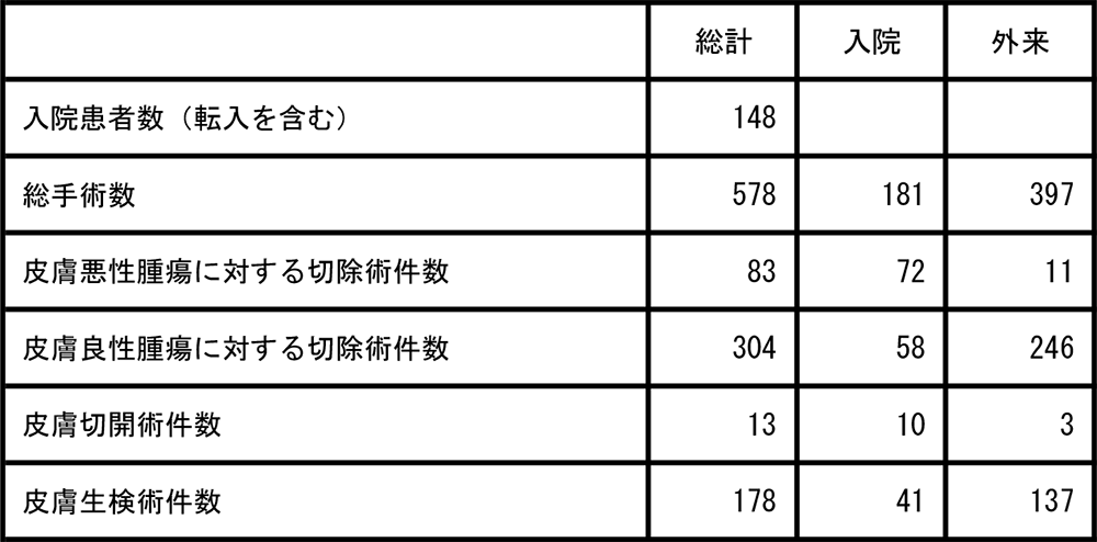 皮膚科2024年診療実績