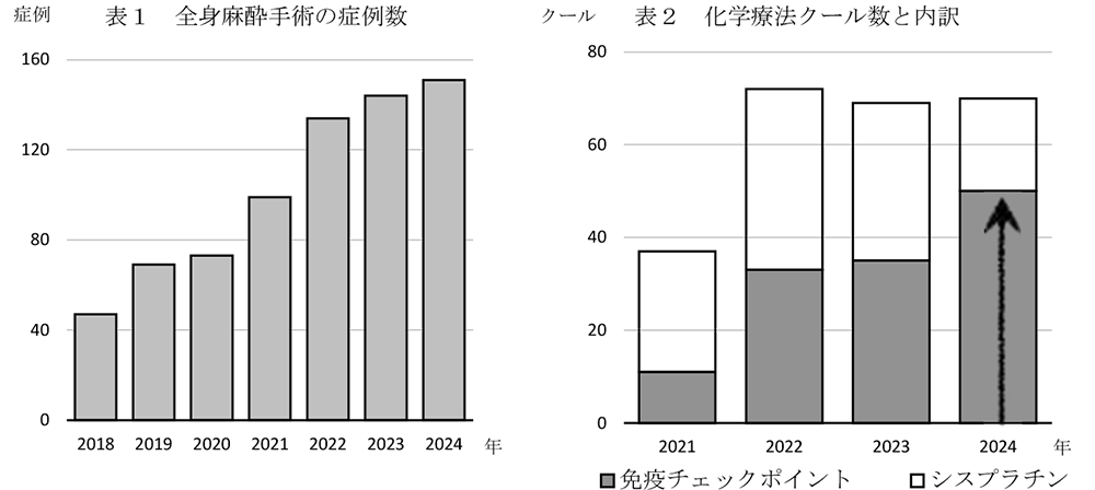 耳鼻咽喉科2024年症例数
