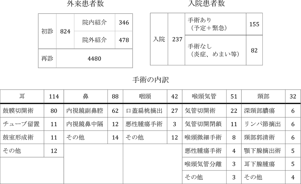 耳鼻咽喉科2024年症例数