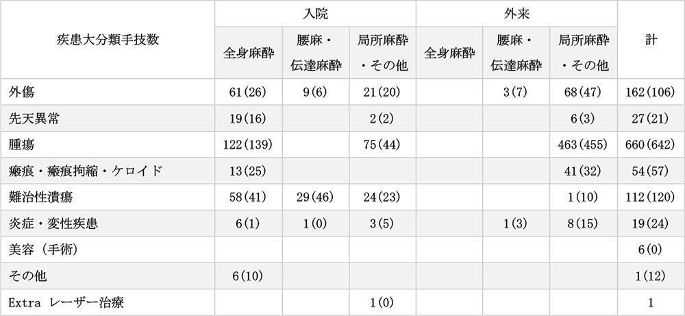 形成外科2024年診療実績