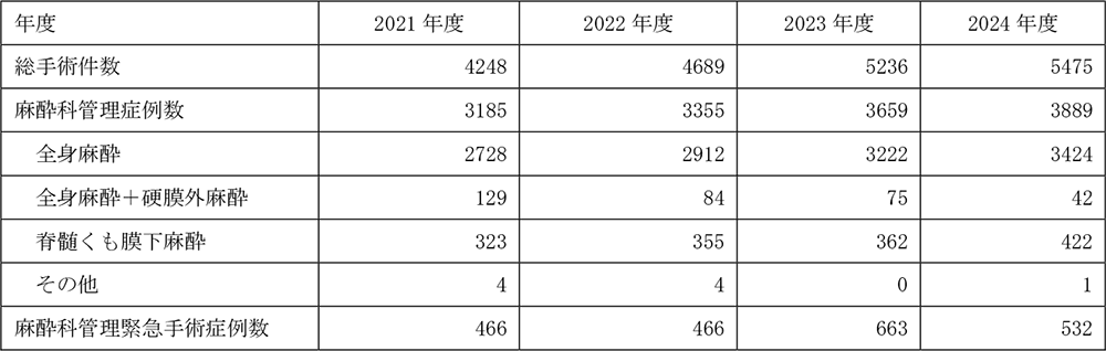 麻酔科2024年診療実績